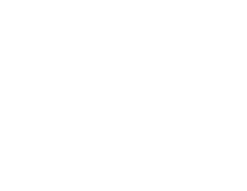 LightPro Academy